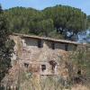 Casa ex Marzuoli - icona - IMG 0043
