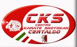 logo karate
