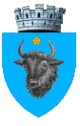 stemma Sighetu Marmatiei