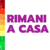 RIMANI A CASA - OK icona